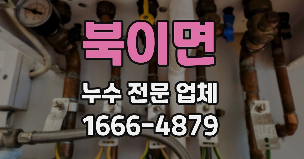 북이면 누수 전문 업체