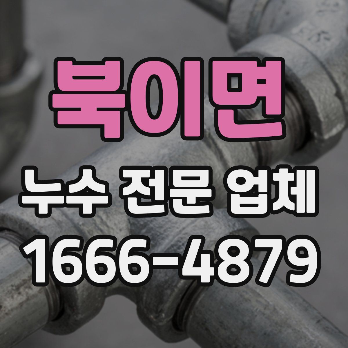 북이면 누수 전문 업체