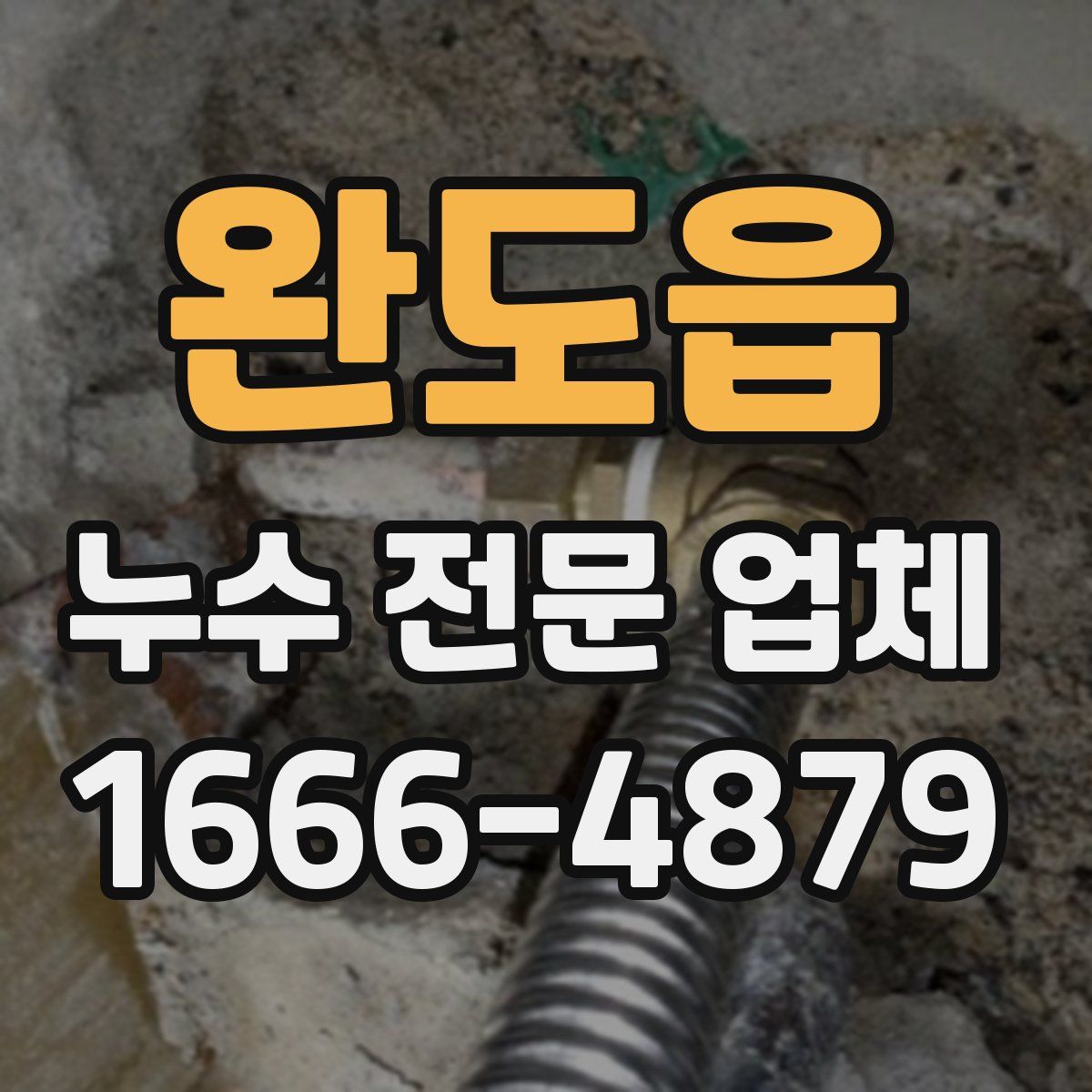 완도읍 누수 전문 업체