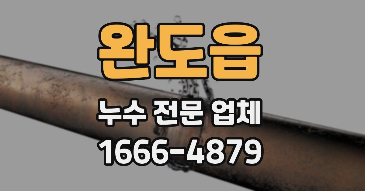 완도읍 누수 전문 업체