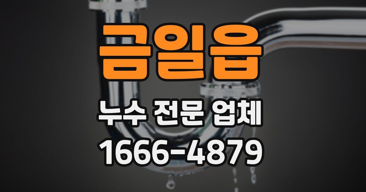 금일읍 누수 전문 업체