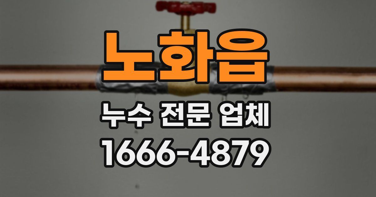 노화읍 누수 전문 업체