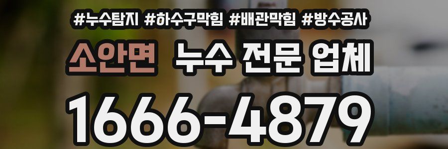 소안면 누수 전문 업체