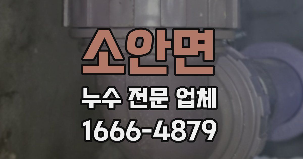소안면 누수 전문 업체