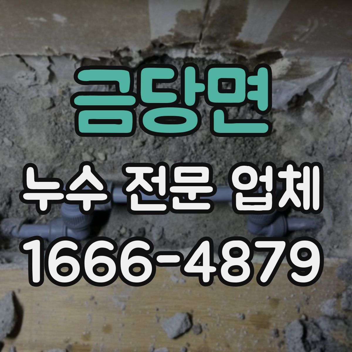 금당면 누수 전문 업체