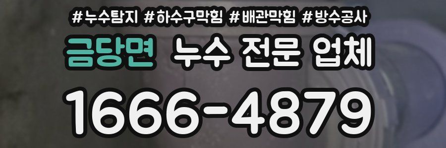 금당면 누수 전문 업체