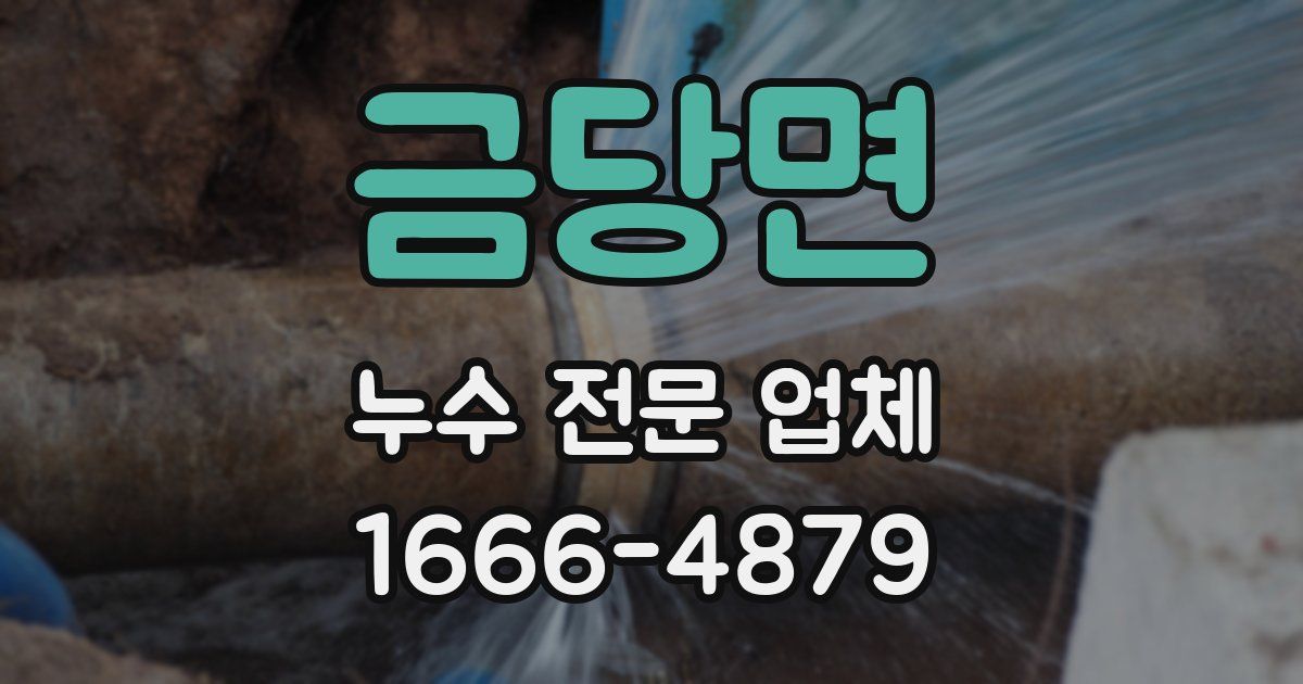 금당면 누수 전문 업체