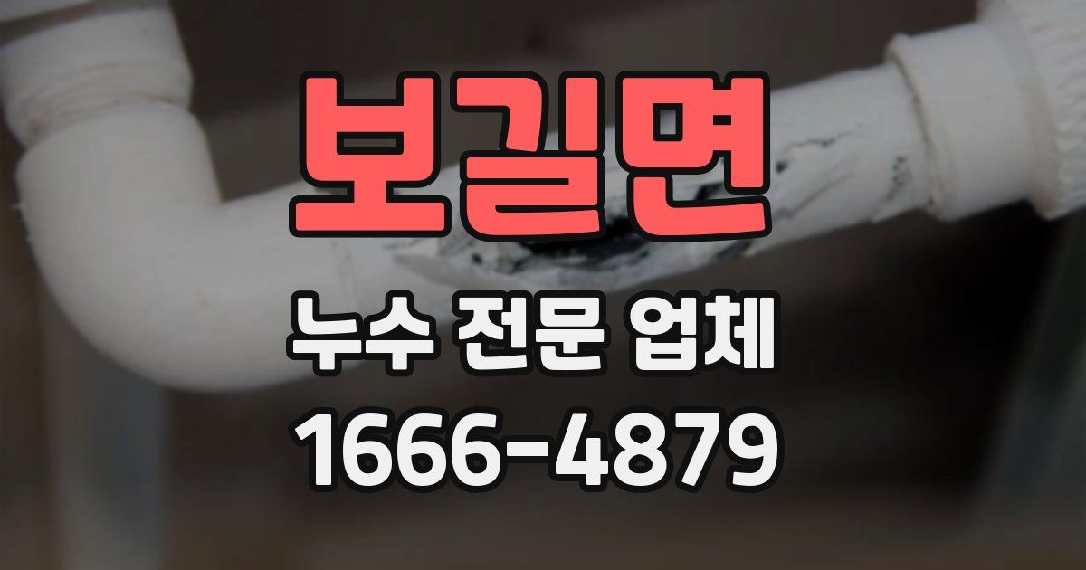보길면 누수 전문 업체