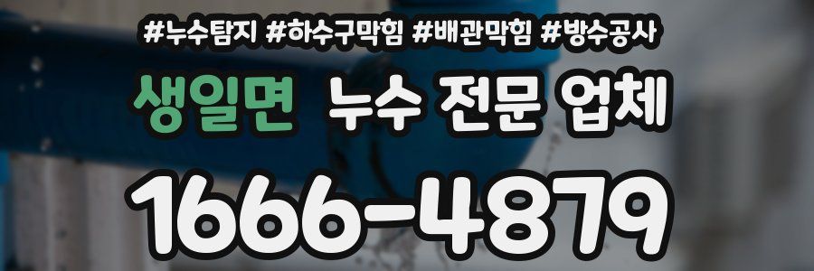생일면 누수 전문 업체