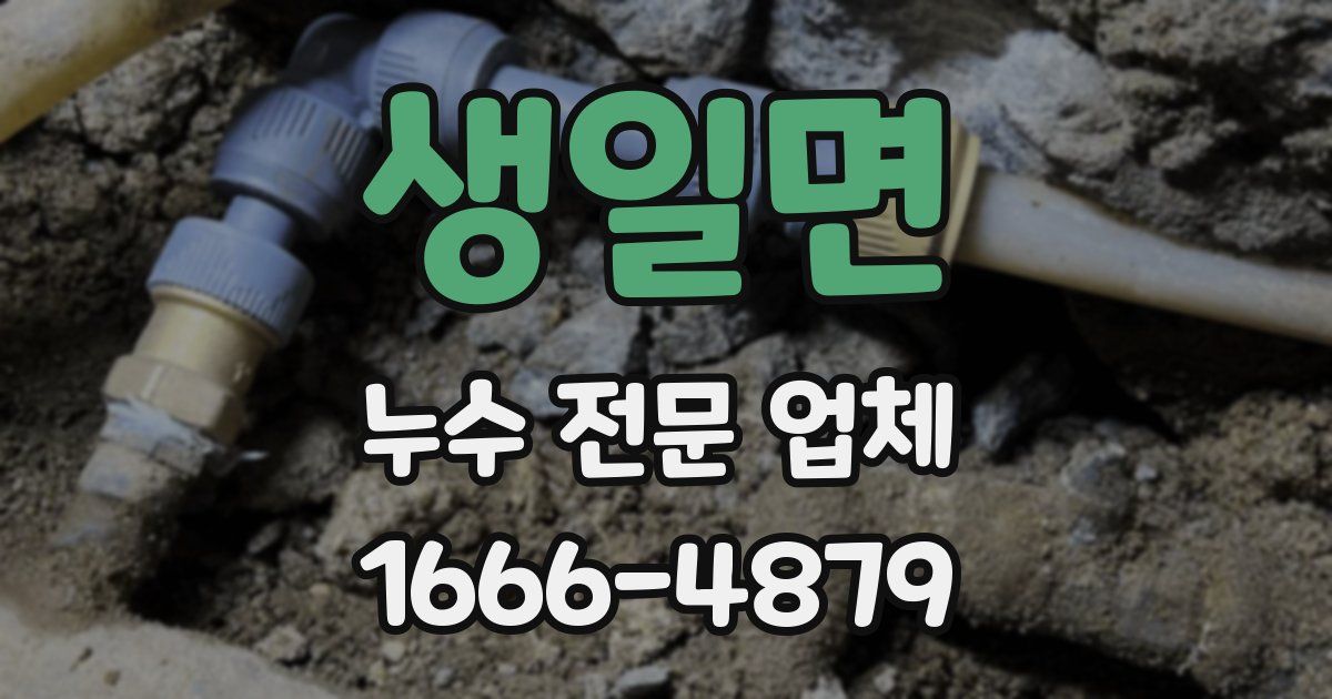 생일면 누수 전문 업체