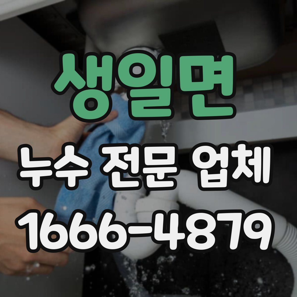 생일면 누수 전문 업체