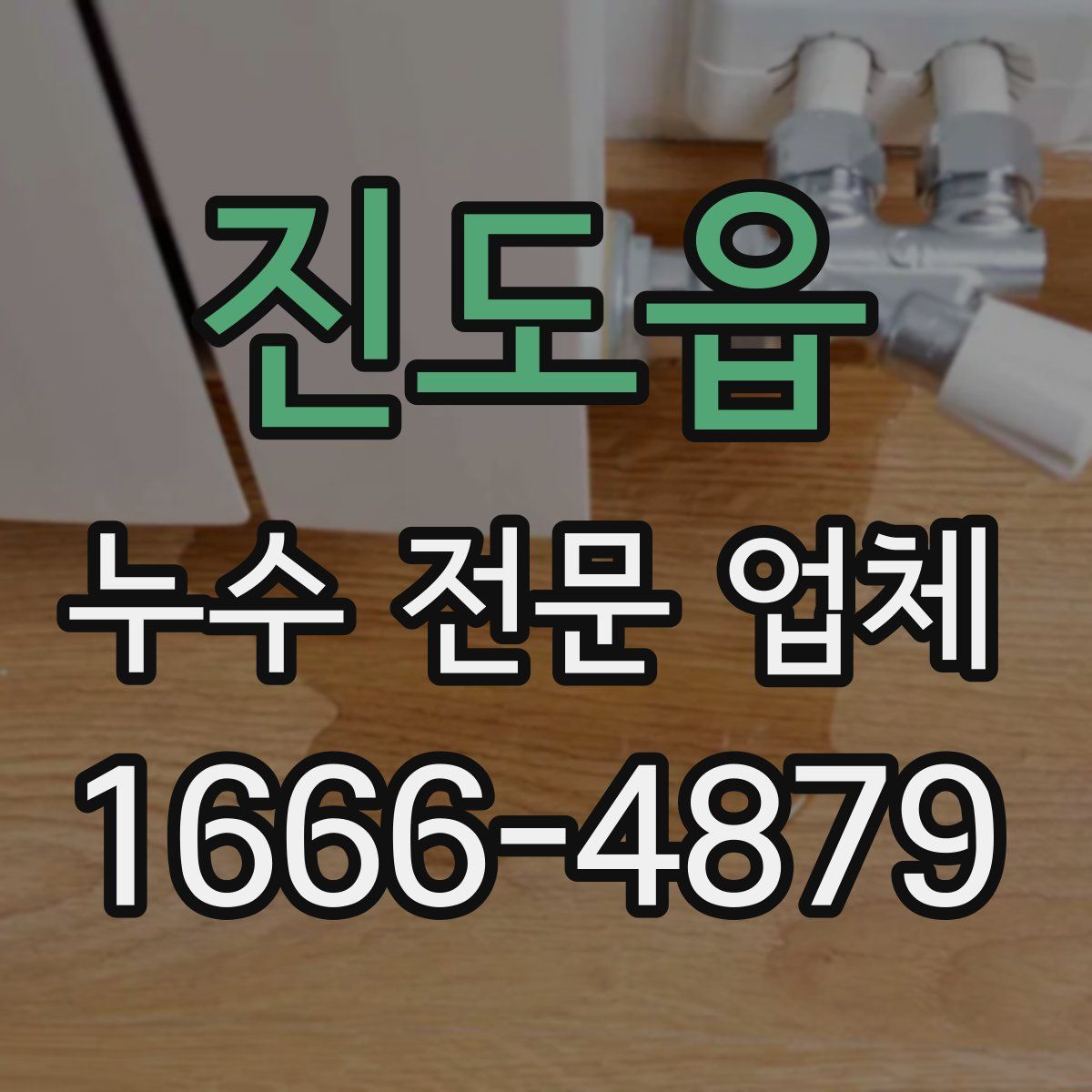 진도읍 누수 전문 업체