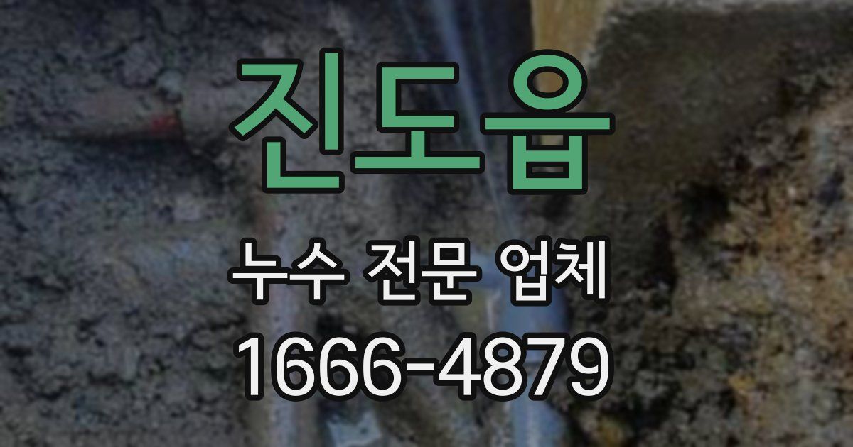 진도읍 누수 전문 업체