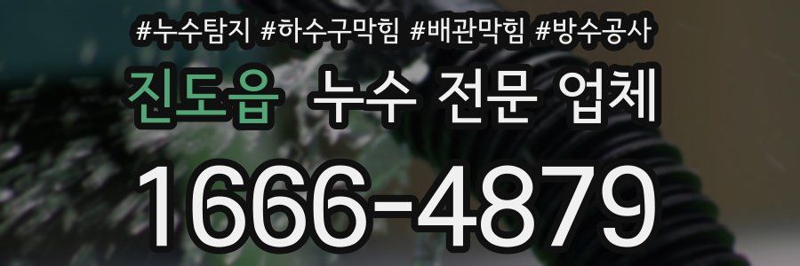 진도읍 누수 전문 업체