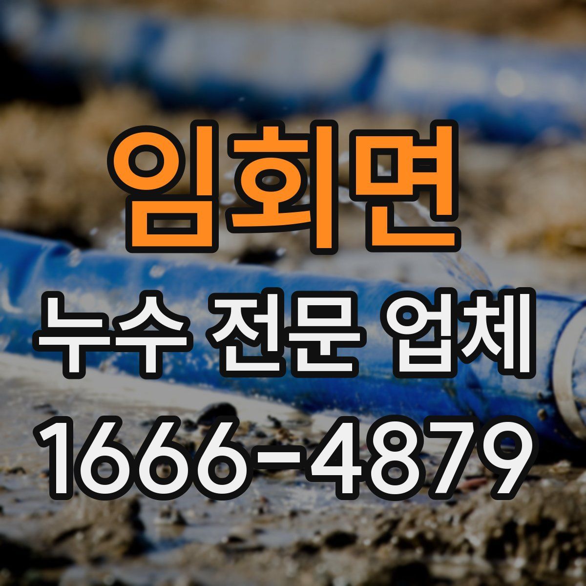 임회면 누수 전문 업체