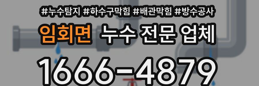 임회면 누수 전문 업체