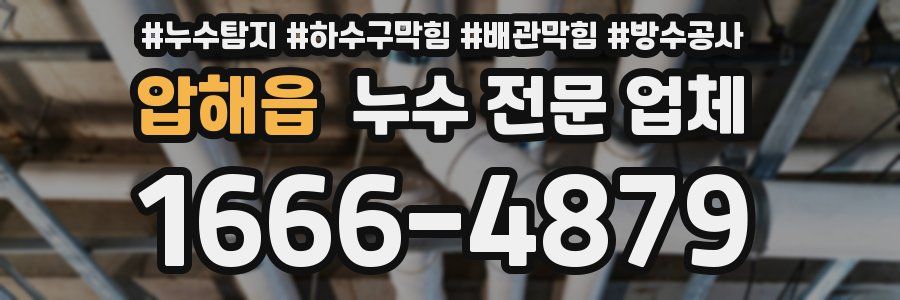 압해읍 누수 전문 업체