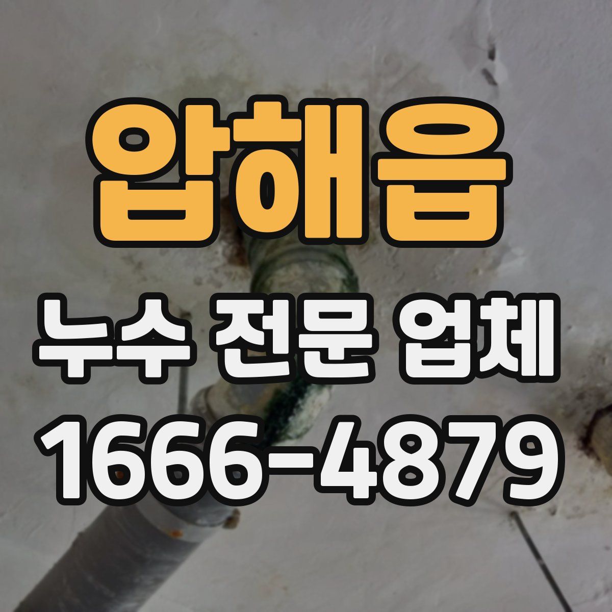 압해읍 누수 전문 업체