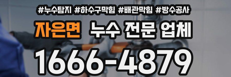 자은면 누수 전문 업체