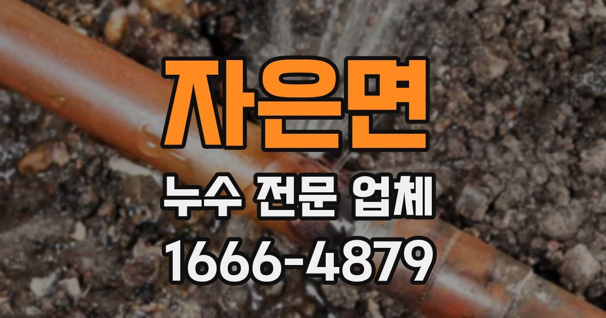 자은면 누수 전문 업체