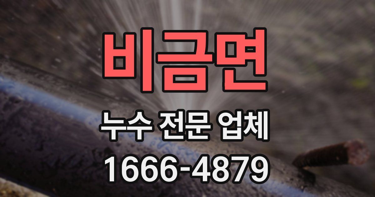 비금면 누수 전문 업체