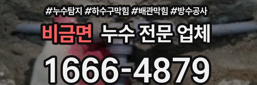 비금면 누수 전문 업체