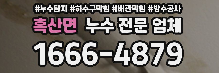 흑산면 누수 전문 업체