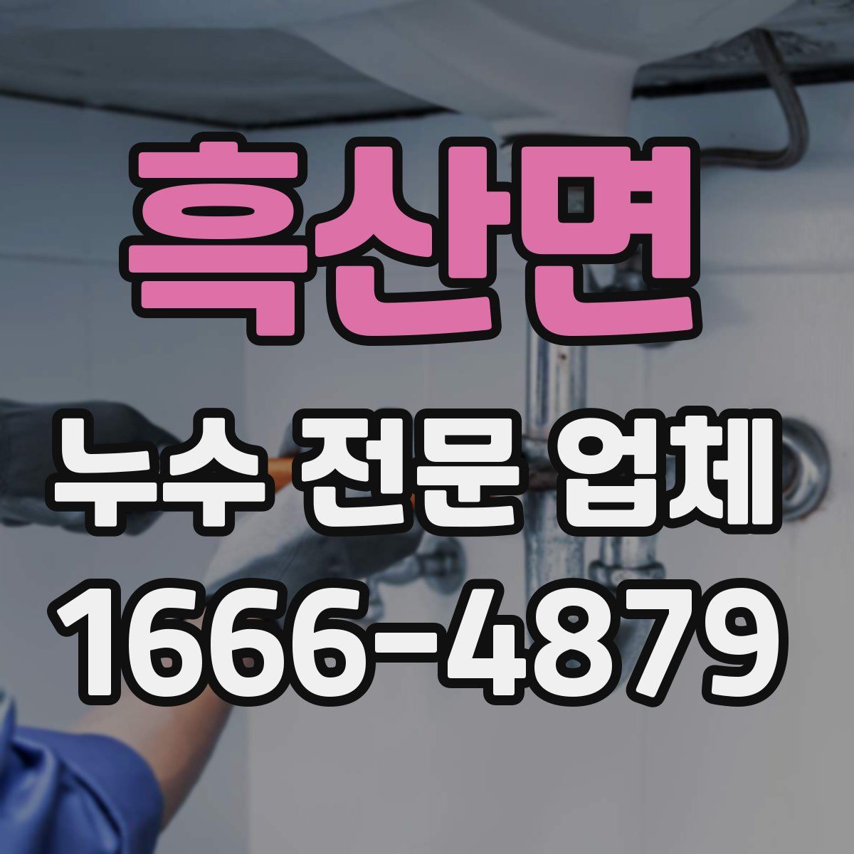 흑산면 누수 전문 업체