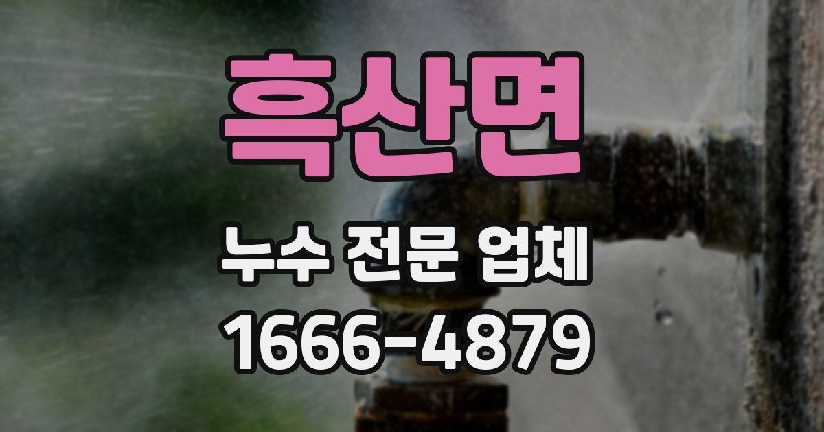 흑산면 누수 전문 업체