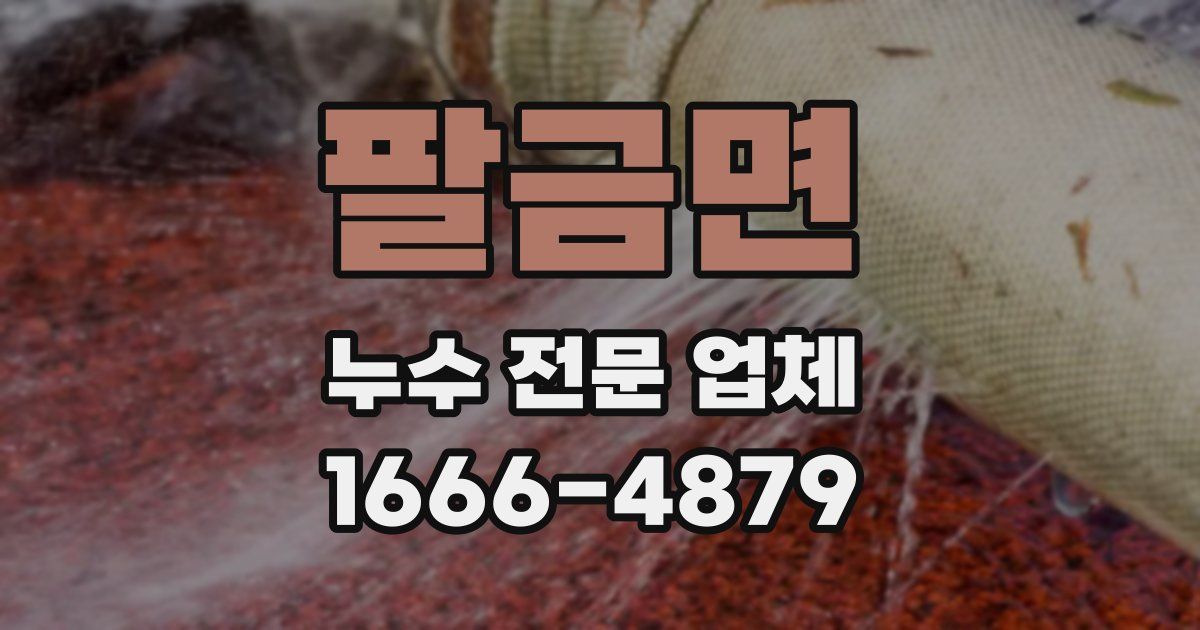 팔금면 누수 전문 업체