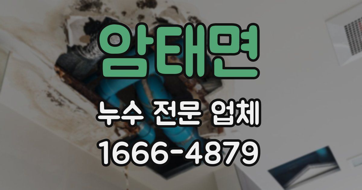 암태면 누수 전문 업체