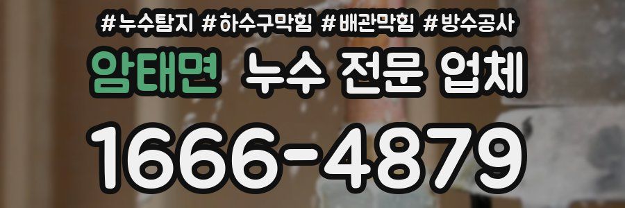 암태면 누수 전문 업체