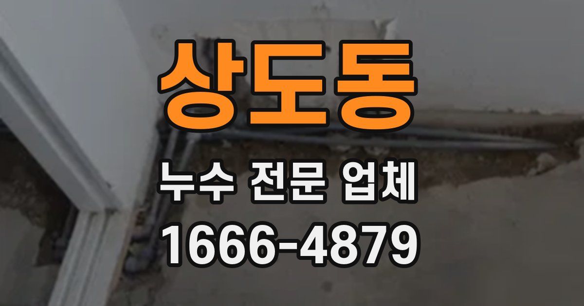 상도동 누수 전문 업체