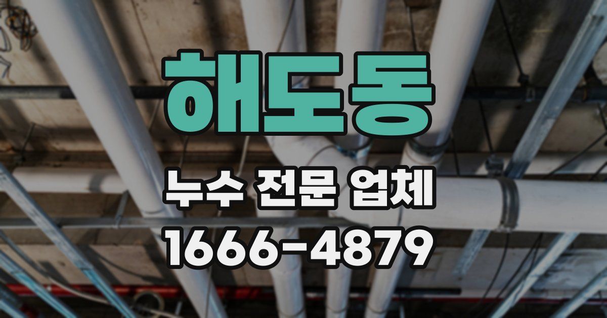해도동 누수 전문 업체