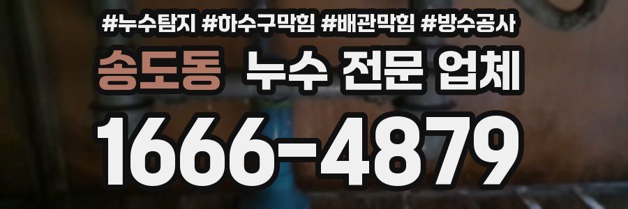 송도동 누수 전문 업체