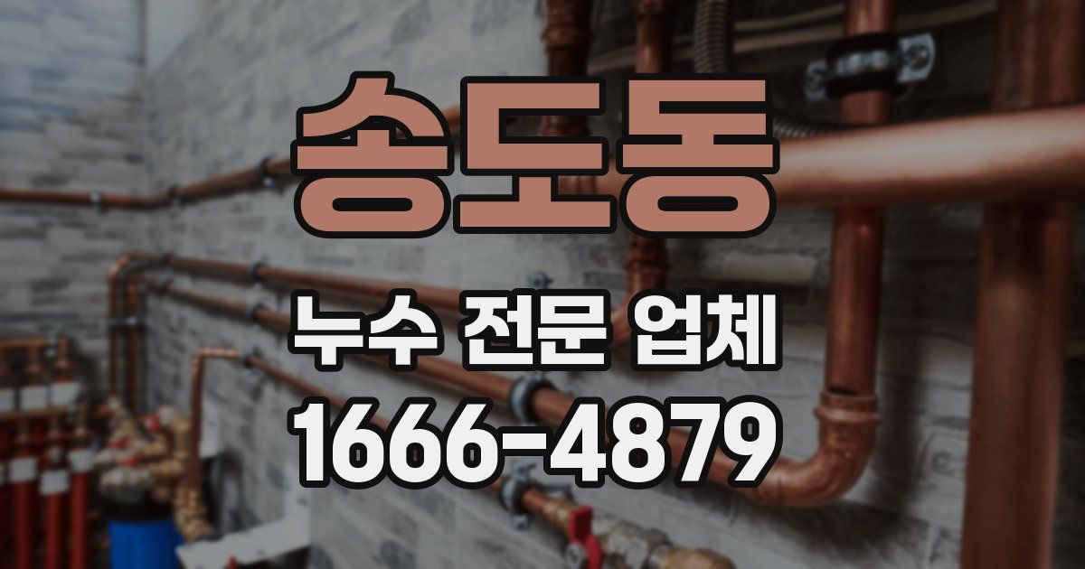 송도동 누수 전문 업체