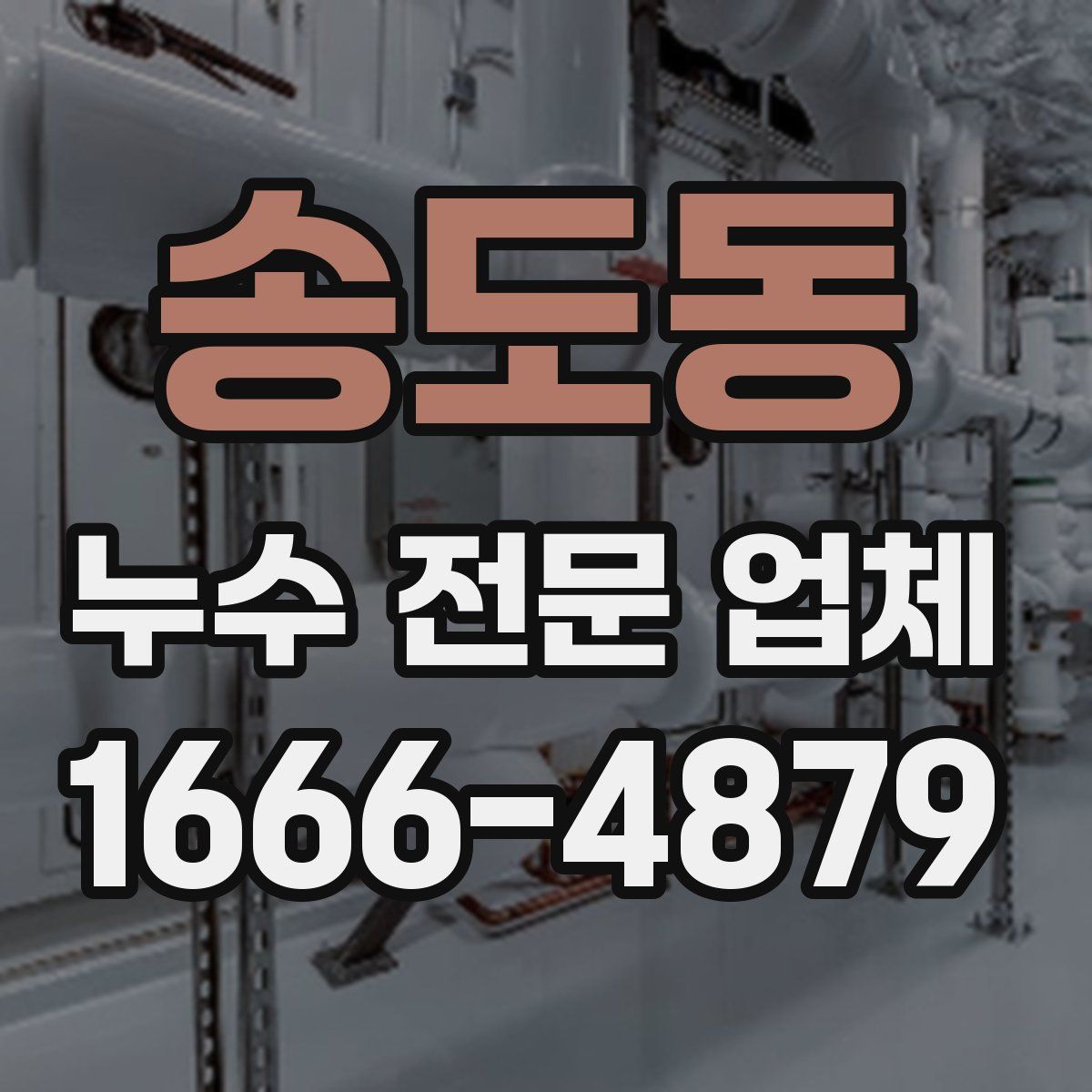 송도동 누수 전문 업체
