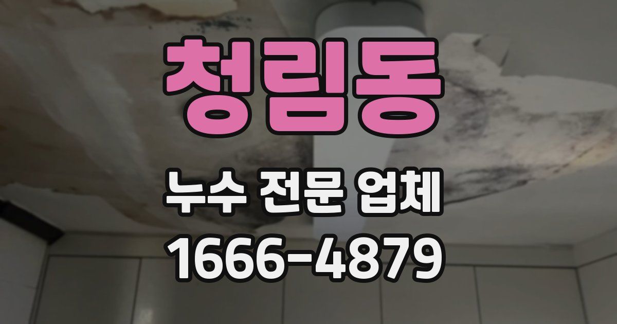 청림동 누수 전문 업체