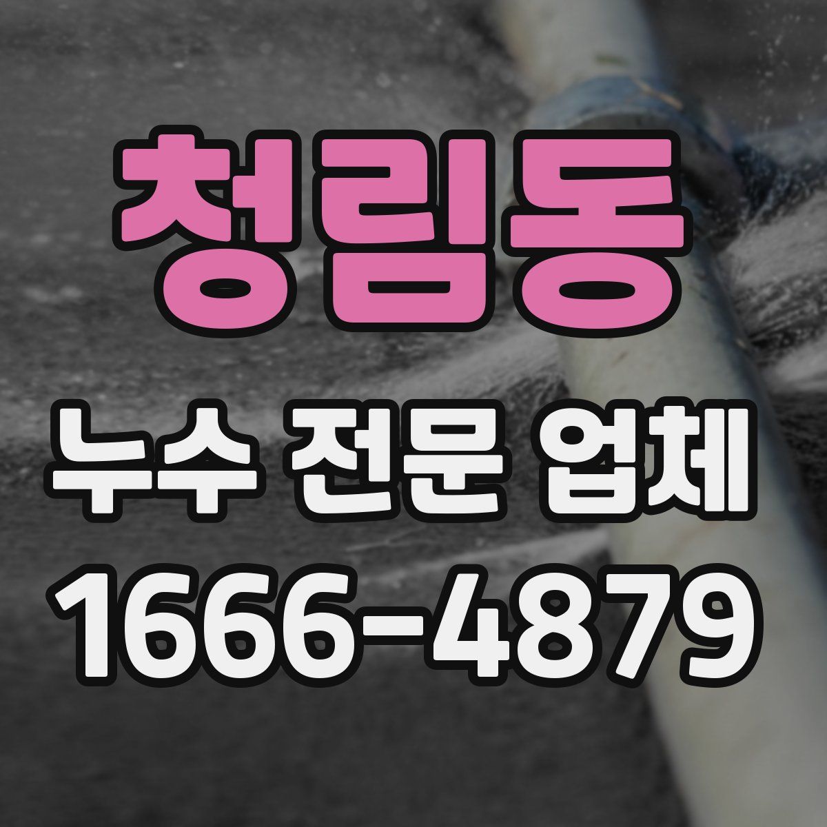 청림동 누수 전문 업체