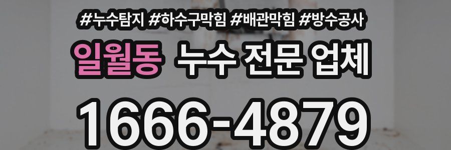 일월동 누수 전문 업체