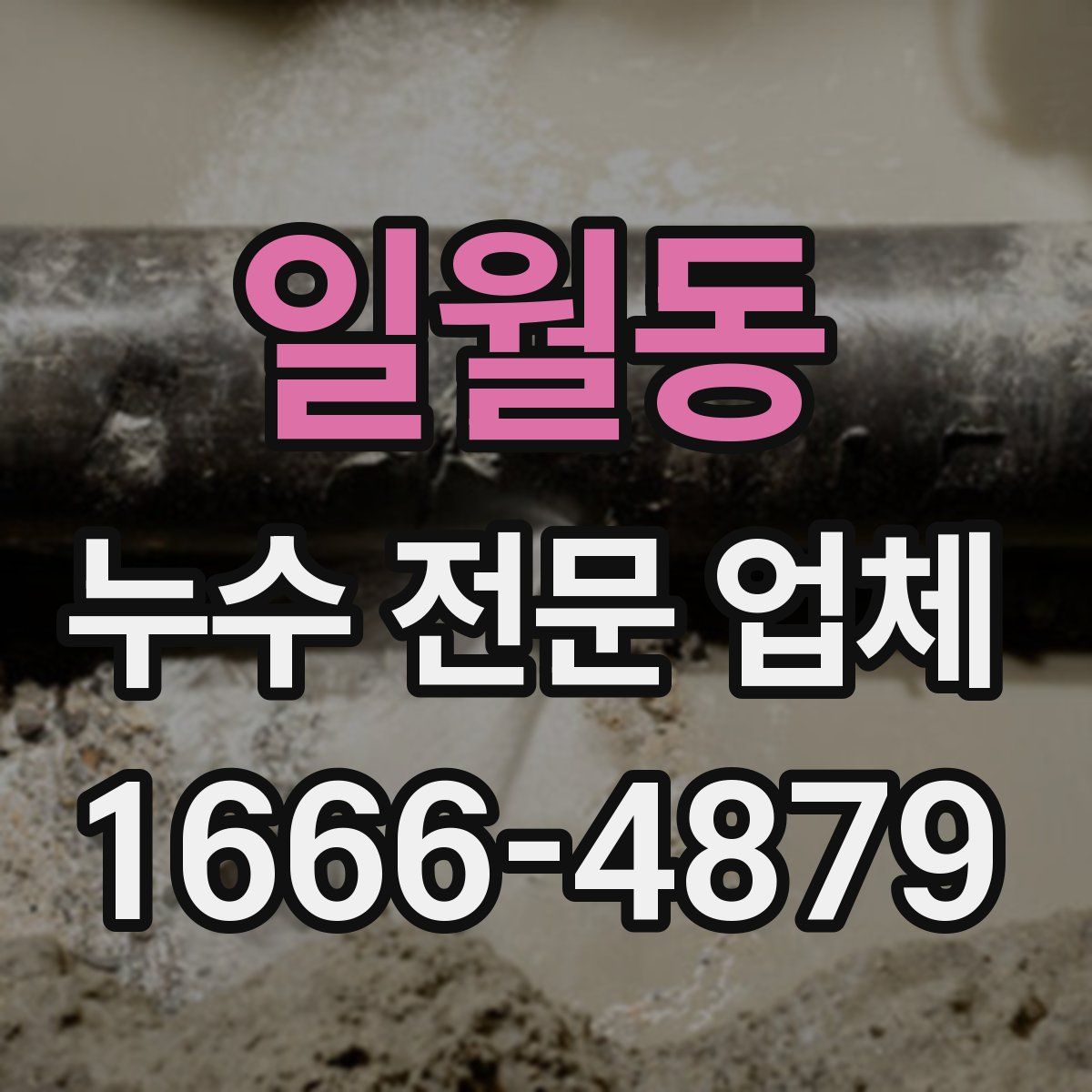 일월동 누수 전문 업체