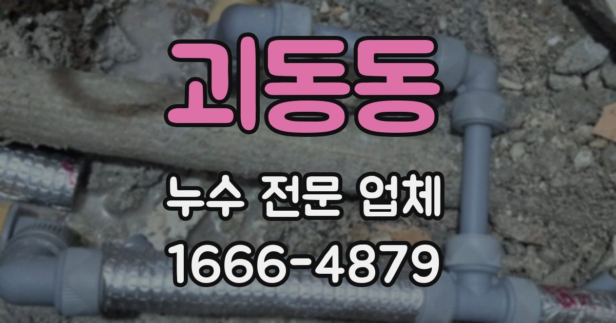 괴동동 누수 전문 업체