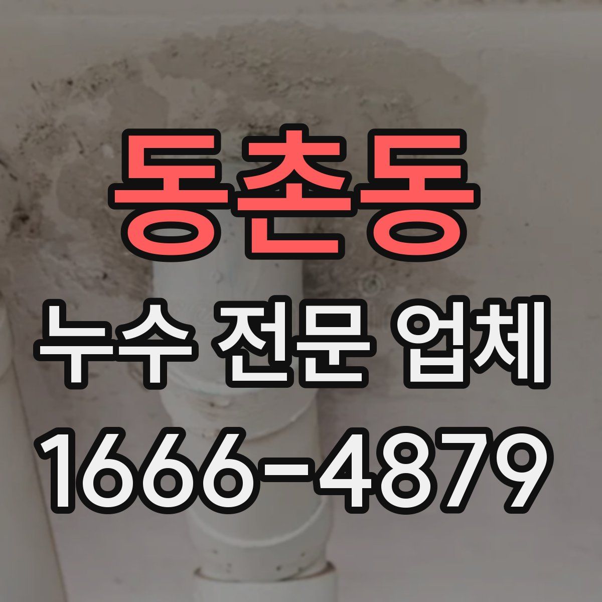 동촌동 누수 전문 업체