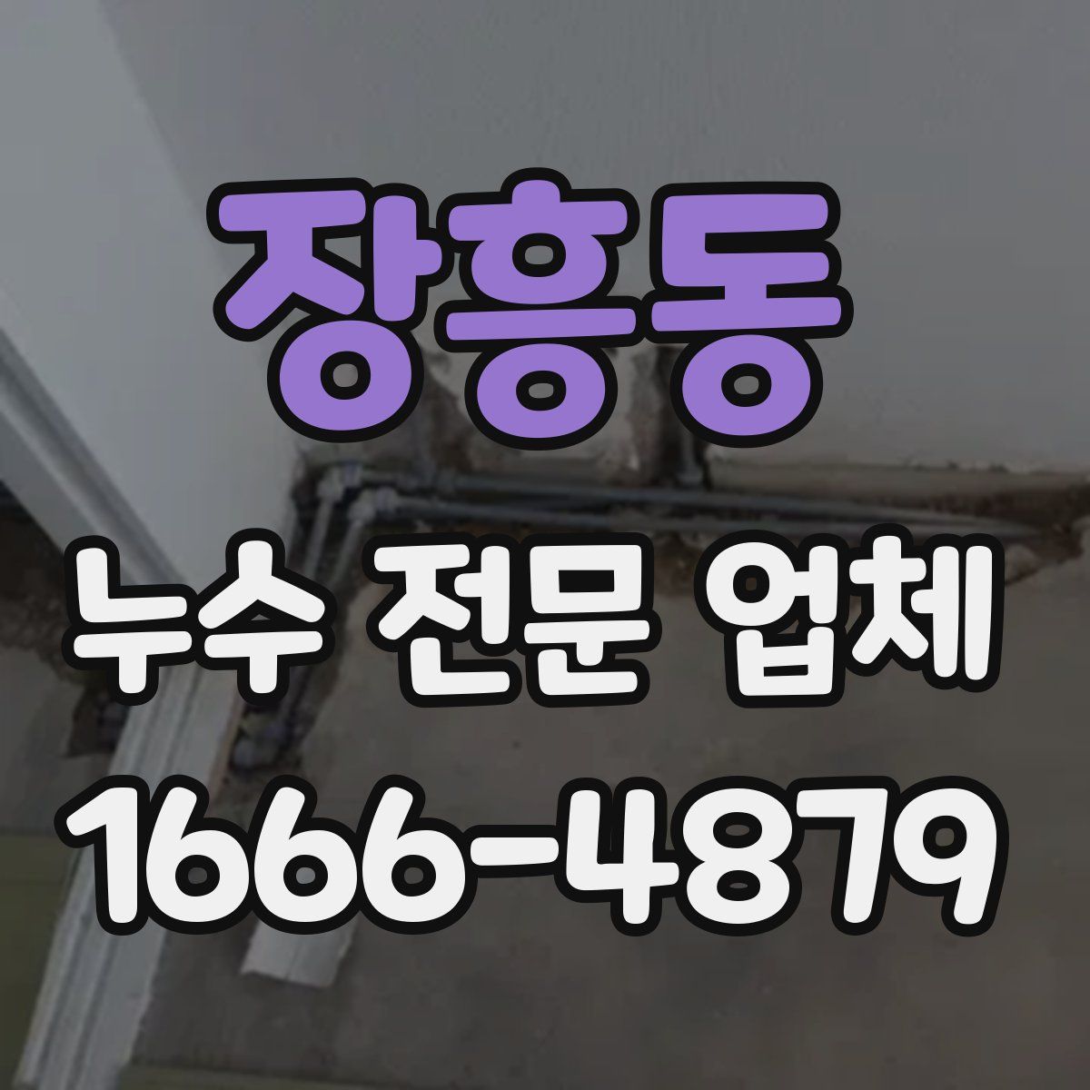 장흥동 누수 전문 업체
