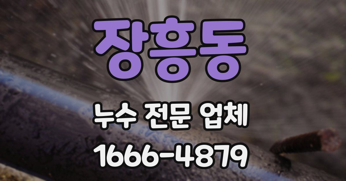 장흥동 누수 전문 업체