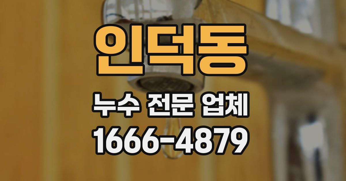 인덕동 누수 전문 업체