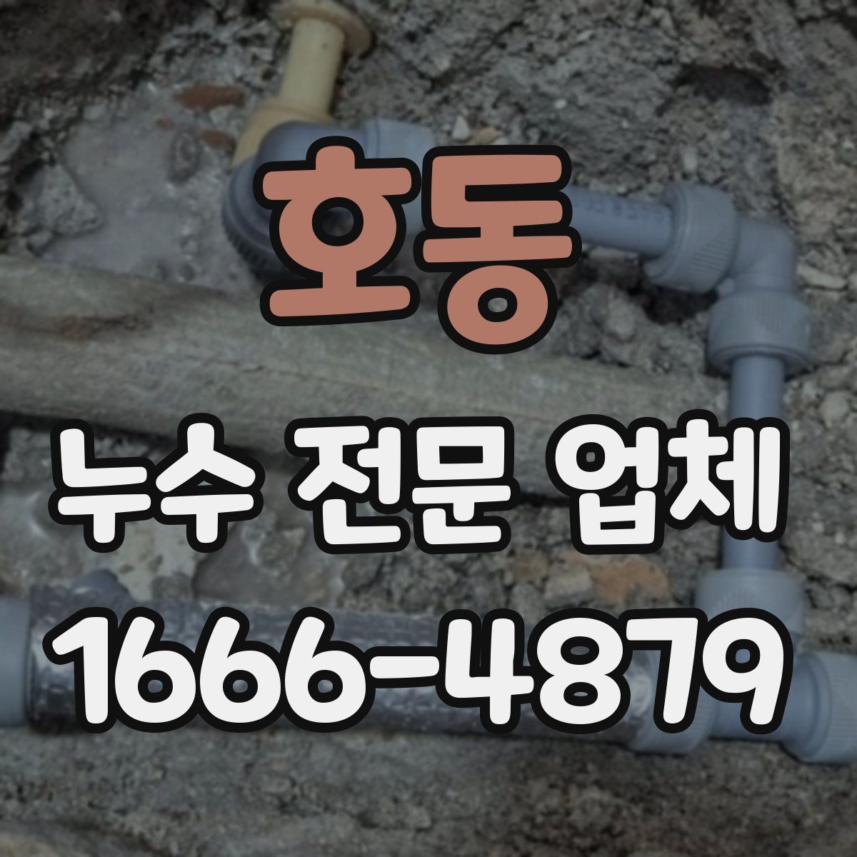 호동 누수 전문 업체