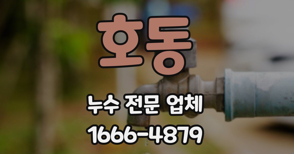 호동 누수 전문 업체