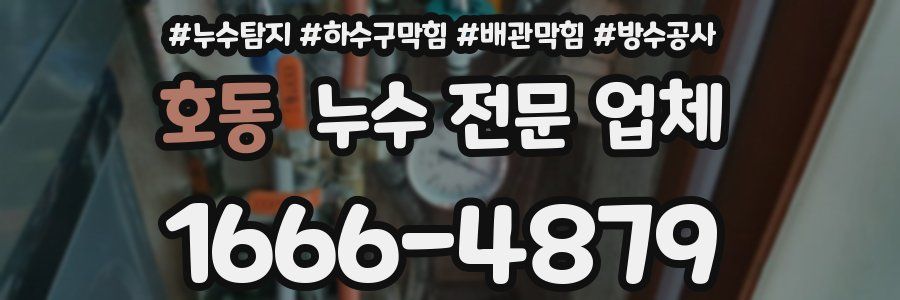 호동 누수 전문 업체