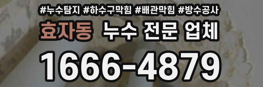 효자동 누수 전문 업체